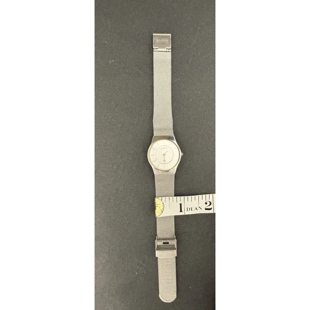 Skagen Watch Women’s Silver Dial Stainless Steel Round Mesh Band New Battery